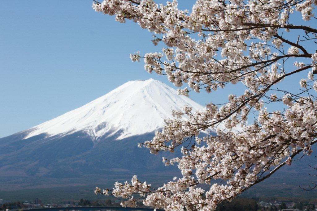 富士河口湖御師の家　梅谷（Umeya）别墅 外观 照片